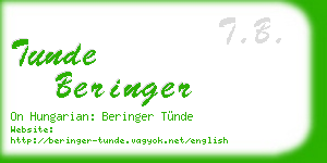tunde beringer business card